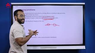 general physiology lecture four by Dr Omar Kassem cellular connections and communication [upl. by Bigelow]