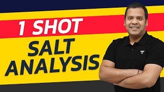 Salt Analysis  OneShot  Inorganic Chemistry  PMS sir [upl. by Annais]