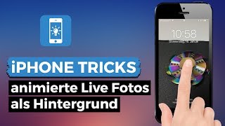 Live Fotos als animierten Hintergrund auf dem iPhone einstellen [upl. by Kaasi]