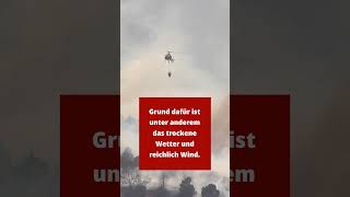 VORSICHT  Höchste Waldbrand Warnstufe im Norden Deutschland⚠️ [upl. by Stent]