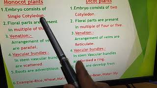 Difference between Monocot and Dicot plants [upl. by Salina858]