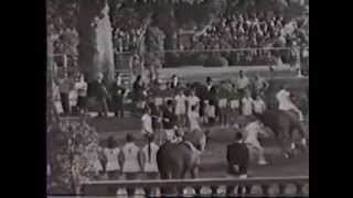 1963 1 German Championship in Wiesbaden Voltigieren  Voltige  Vaulting [upl. by Alecram]