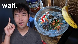 BETTA FISH BOWL DONE RIGHT  Fish Tank Review 279 [upl. by Akirrehs]