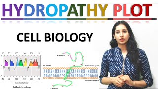 Hydropathy Plot I Cell Biology I Hydropathy Index I CSIRNET I GATE I TIFR I ICMR I ICAR I DBT I IIT [upl. by Farris860]