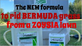 The new formula to remove Bermuda grass from a Zoysia lawn [upl. by Neevan]