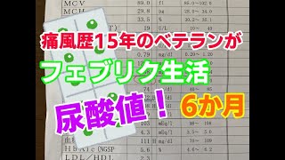 痛風治療 フェブリク錠10mgを半年飲み続けたら尿酸値はどれだけ下がるのか？フェブリク副作用の確認 薬による痛風発作 痛風対策 尿酸降下薬【痛Tube】 [upl. by Awe]