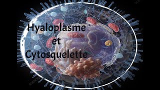 HYALOPLASME ET CYTOSQUELETTE [upl. by Ellebasi895]