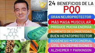 24 BENEFICIOS de❤️🌿🥝PQQ❤️CEREBRO🧠 MÚSCULO💪CORAZÓN💖LONGEVIDAD ALZHEIMER🧠PARKINSON DEPRESIÓN😮ARTRITIS🦴 [upl. by Ennaxor]