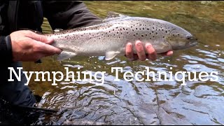 EPIC SEA TROUT on a NYMPH Nymphing Techniques Duo Nymphing New Zealand Nymphing Euro Nymphing [upl. by Joseph]