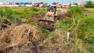 Excellent FULL Complete Bulldozer Extreme Push Connect Road and Dump Trucks Unload Connecting [upl. by Oech953]