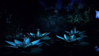 Indische Waterlelies Efteling  Complete show [upl. by Eibreh]