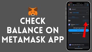 How to Check Balance on MetaMask Wallet 2024 [upl. by Landa]