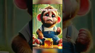 Monkey eating honey funny entertainment cute laugh [upl. by Yanffit695]