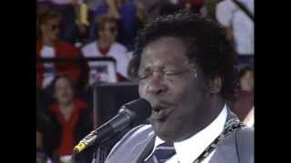 BB King  Aint Nobodys Business Live at Farm Aid 1985 [upl. by Oinotnanauj]