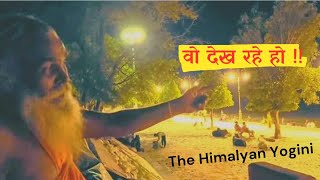 150 Years Old Rishis Live In The HIMALAYAS l RealTalk Stories [upl. by Tade]