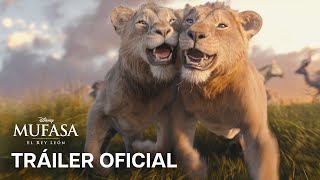 Mufasa El Rey León  Tráiler Oficial en español [upl. by Bullion]