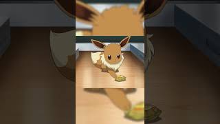 CHLOES EEVEE EVOLVES Eevees Possibilities [upl. by Lyndon]