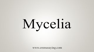 How To Say Mycelia [upl. by Schmitz]