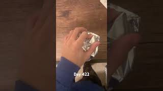 Adding Layers to My Aluminum Foil Ball Until I Graduate From College Day 422 [upl. by Leirda]