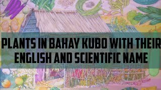 Plants in Bahay Kubo Song with their English and Scientific Name [upl. by Budde760]