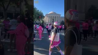 🌸 Susan G Komen Walk  Grateful Beyond Words 🌸 RECAP [upl. by Angrist]