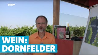 Werner erklärt Wein Dornfelder [upl. by Elrod]