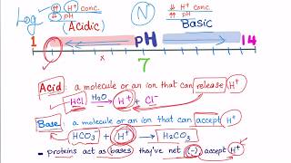 Acid Base Disorders part 2 acidosis vs acidemia [upl. by Yllime]