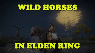 Wild Horses in Elden Ring [upl. by Lleder954]