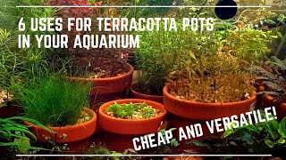 6 Uses for Terracotta Pots in Your Aquarium [upl. by Enelia]