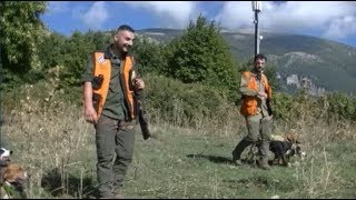 Cinghiali in Calabria apertura 20192020 battuta al Cinghiale nei monti Cosentini [upl. by Brandais407]