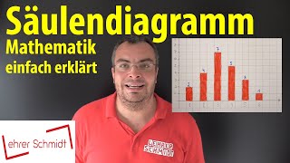 Säulendiagramm erstellen  Mathematik  einfach erklärt  Lehrerschmidt [upl. by Aivatnahs568]