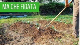 Eliminare le erbe infestanti dallorto e giardino  ATTREZZO CHE DEVI AVERE [upl. by Opiuuk]