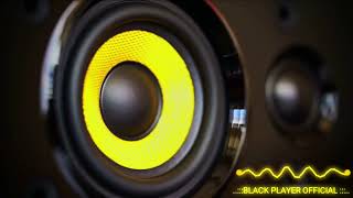 BASS BOOSTED  REMIX MUSIC BASS TEST EXTREMEBASS BASSBOOSTER DJ MUSIC NEW SONG BEATS SPEAKER TEST [upl. by Eniamraj]