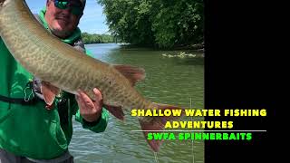 The perfect SPINNERBAIT for RIVER SMALLMOUTH [upl. by Santini]