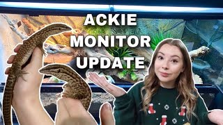 What Happened To My Ackie Monitor [upl. by Moulden916]