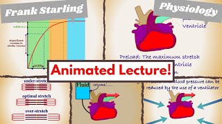 Cardiac Preload amp FrankStarling Law simply explained [upl. by Rohpotsirhc]