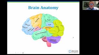 The Impact of Brain Injury [upl. by Brockwell468]