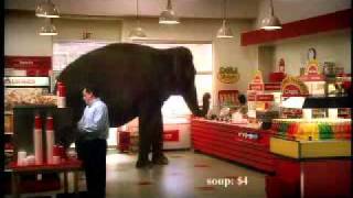 Mastercard Commercial  Priceless Elephant [upl. by Novyad]