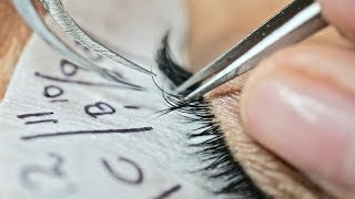 Cómo Aplicar Extensiones de Pestañas 1x1 Más Rápido 🕑  Beauty Lash [upl. by Cilla]