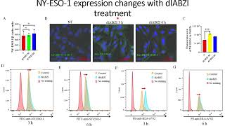 DiaBZl stimulates NYESO1 antigen expression on tumor cells Code 704 [upl. by Rolecnahc]