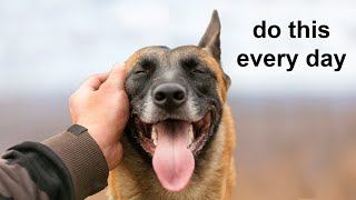 12 Scientific Ways To Get Your Dog To Love You The Most [upl. by Rosco413]