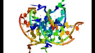 The original Gquadruplex structure [upl. by Cohligan]