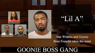 Star witness in Goonie Boss Gang trial takes the stand [upl. by Ijar]