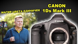 Canon 1Ds III  МАГИЯ ЦВЕТА единичек раскрыта [upl. by Sedecram49]