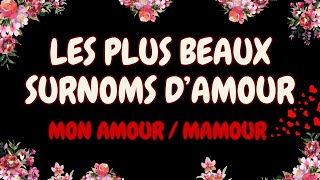 Les meilleurs surnoms damour pour son partenaire [upl. by Love]