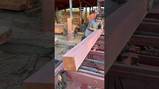 Red Cedar Cut Into MORE 2x8’s  Cooks AC36 sawmill [upl. by Umeko]