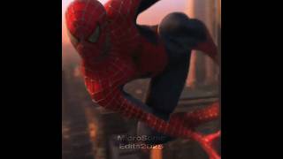 SpiderMan Tobey Maguire Edit spiderman tobeymaguire spiderverse [upl. by Thaddeus]