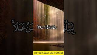 Surah AlMulk 12 Verses Recitation  Syed Faizan Ullah Official [upl. by Bently]