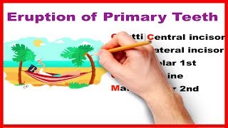 Eruption of Primary teeth  Made easy [upl. by Wilt]