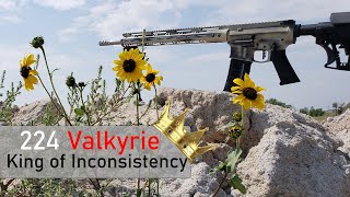 224 Valkyrie King of inconsistency Why I switched to 6mm ARC [upl. by Tye]